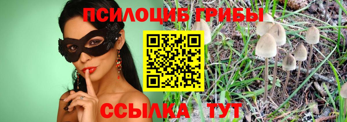 Галлюциногенные грибы Cubensis Клин