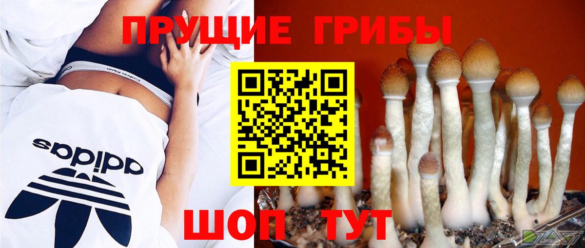 Клин  Псилоцибиновые грибы MAGIC MUSHROOMS  Вход с VPN 